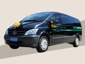 高端灵车