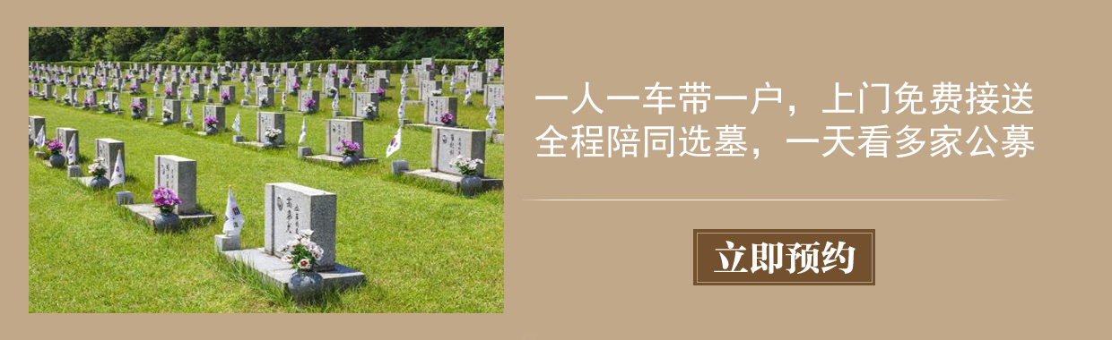 林通看墓班车预约